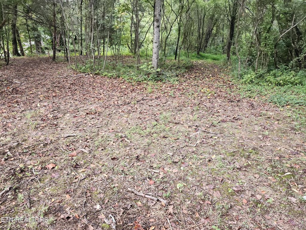 Photo of Black Oak Road Rd, Clinton, TN 37716 (MLS # 1312123)