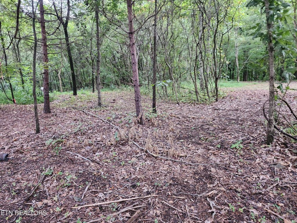 Photo of Black Oak Road Rd, Clinton, TN 37716 (MLS # 1312123)