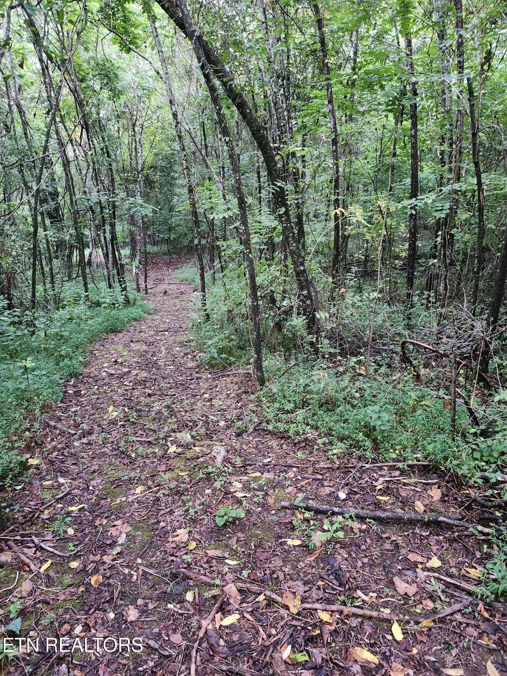 Photo of Black Oak Road Rd, Clinton, TN 37716 (MLS # 1312123)