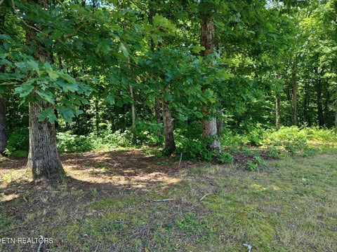 Tiny photo for 6428 Espalier Drive, Decatur, TN 37322 (MLS # 1341973)