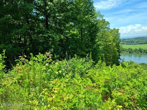 Tiny photo for 6428 Espalier Drive, Decatur, TN 37322 (MLS # 1341973)
