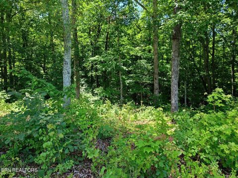 Tiny photo for 6428 Espalier Drive, Decatur, TN 37322 (MLS # 1341973)