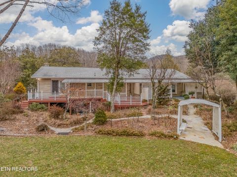 Tiny photo for 2992 Knoxville Hwy, Wartburg, TN 37887 (MLS # 1328897)