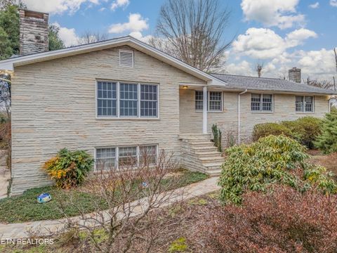 Photo of 2992 Knoxville Hwy, Wartburg, TN 37887 (MLS # 1328897)