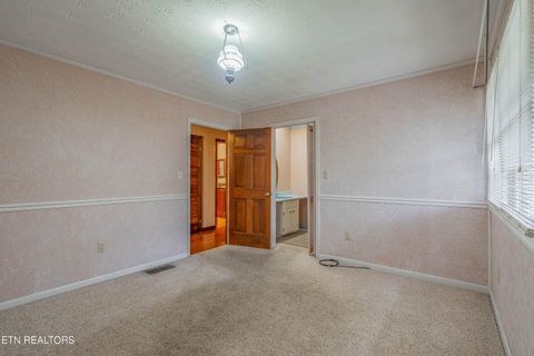 Tiny photo for 2992 Knoxville Hwy, Wartburg, TN 37887 (MLS # 1328897)