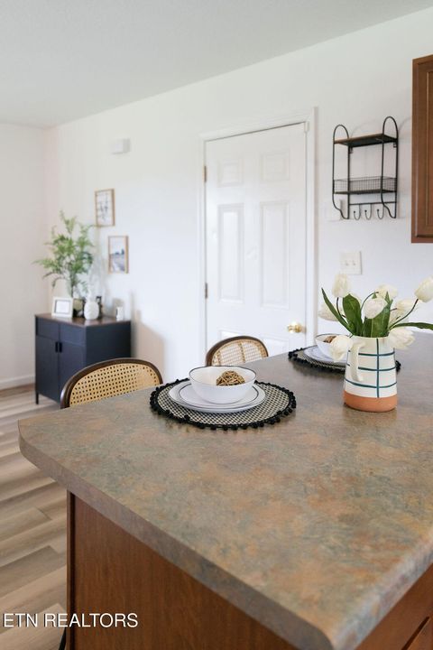 Tiny photo for 9316 Number Four Drive, Mascot, TN 37806 (MLS # 1317728)