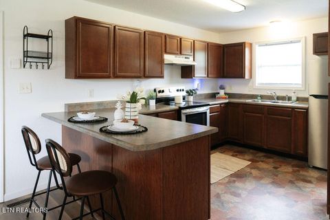 Tiny photo for 9316 Number Four Drive, Mascot, TN 37806 (MLS # 1317728)