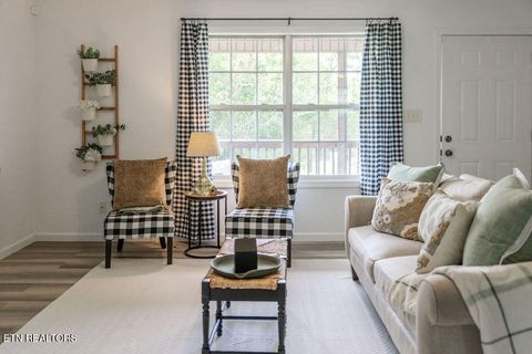 Tiny photo for 9316 Number Four Drive, Mascot, TN 37806 (MLS # 1317728)