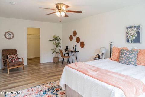 Tiny photo for 9316 Number Four Drive, Mascot, TN 37806 (MLS # 1317728)
