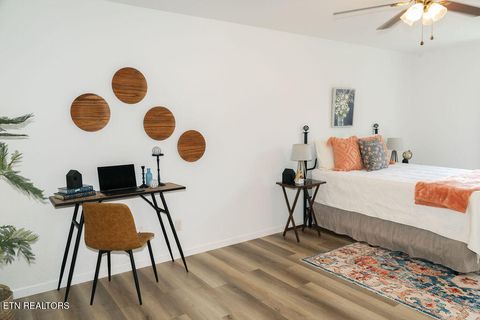 Tiny photo for 9316 Number Four Drive, Mascot, TN 37806 (MLS # 1317728)
