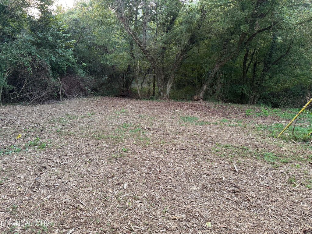 Photo of 0 Bunch Lane, Clinton, TN 37716 (MLS # 1307195)