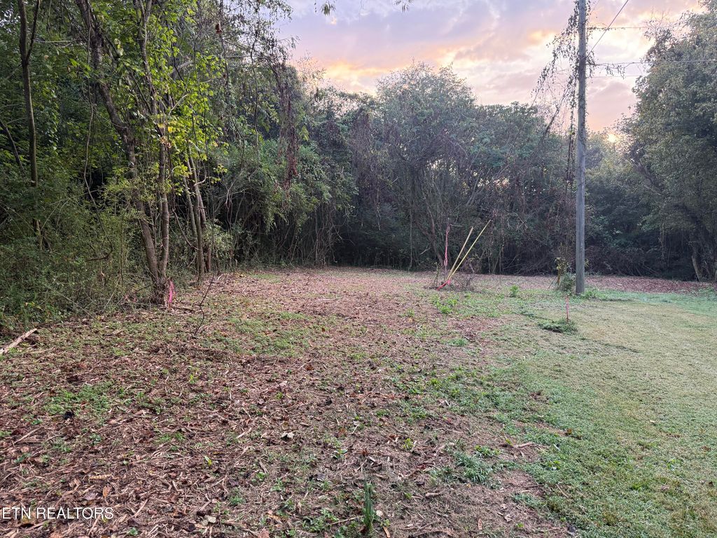 Photo of 0 Bunch Lane, Clinton, TN 37716 (MLS # 1307195)