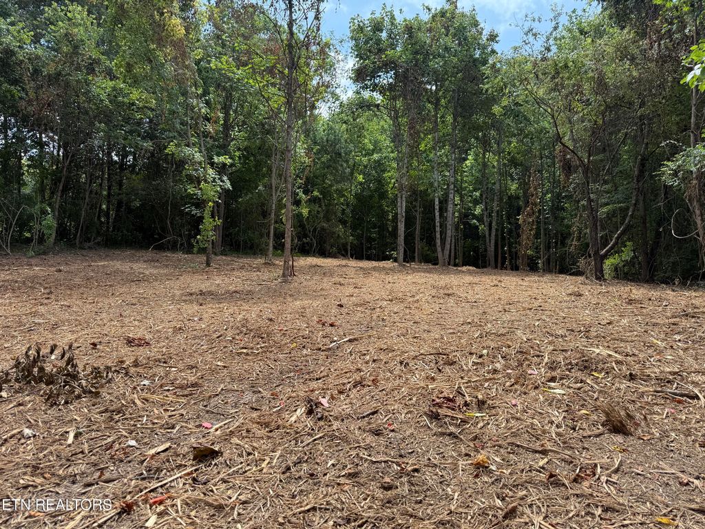 Photo of 0 Bunch Lane, Clinton, TN 37716 (MLS # 1307195)