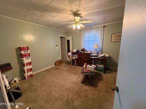 Tiny photo for 4016 Lone Mountain Rd, New Tazewell, TN 37825 (MLS # 1341557)