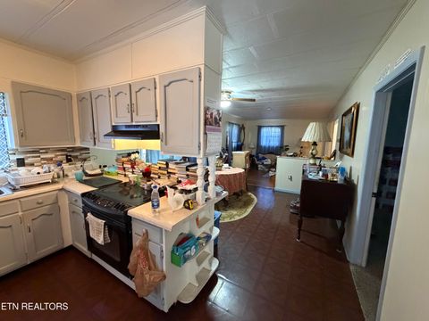 Tiny photo for 4016 Lone Mountain Rd, New Tazewell, TN 37825 (MLS # 1341557)