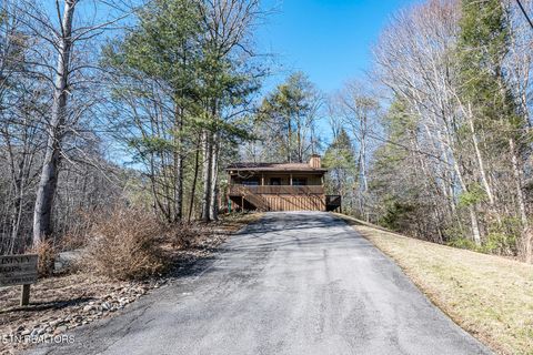 Tiny photo for 407 Kurts Corner Rd, Townsend, TN 37882 (MLS # 1330049)