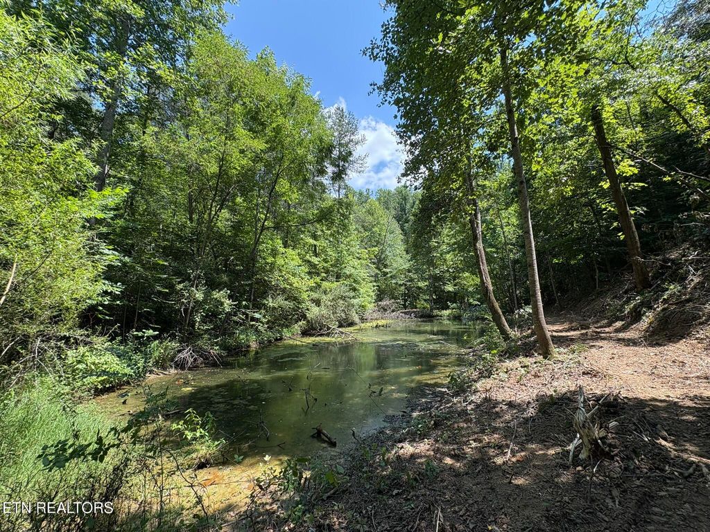 Photo of Oak Lake Dr Drive, Sevierville, TN 37876 (MLS # 1273077)