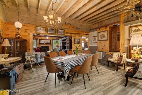 Tiny photo for 557 High Country Rd, Cosby, TN 37722 (MLS # 1317318)