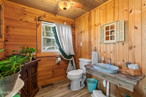 Tiny photo for 557 High Country Rd, Cosby, TN 37722 (MLS # 1317318)