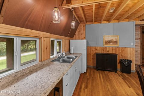 Tiny photo for 557 High Country Rd, Cosby, TN 37722 (MLS # 1317318)
