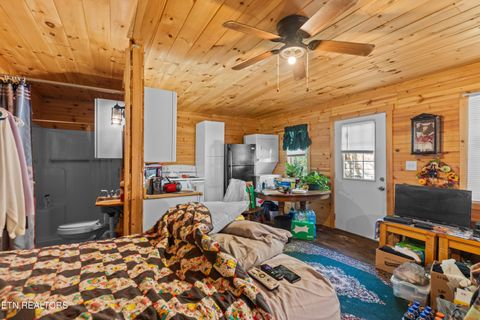 Tiny photo for 557 High Country Rd, Cosby, TN 37722 (MLS # 1317318)
