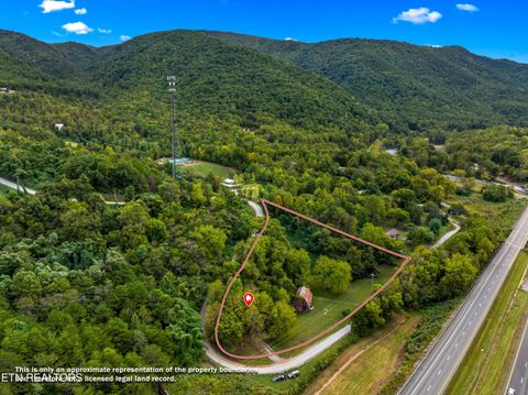 Tiny photo for 557 High Country Rd, Cosby, TN 37722 (MLS # 1317318)