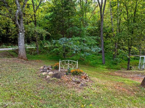 Tiny photo for 557 High Country Rd, Cosby, TN 37722 (MLS # 1317318)