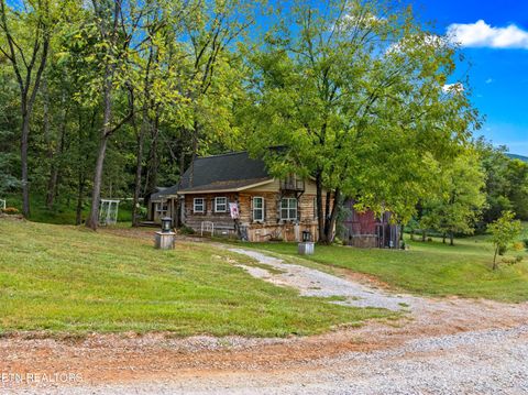 Tiny photo for 557 High Country Rd, Cosby, TN 37722 (MLS # 1317318)