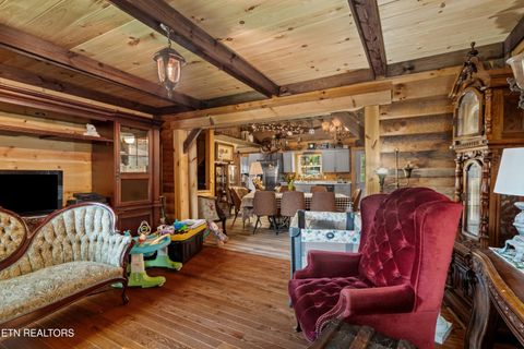 Tiny photo for 557 High Country Rd, Cosby, TN 37722 (MLS # 1317318)