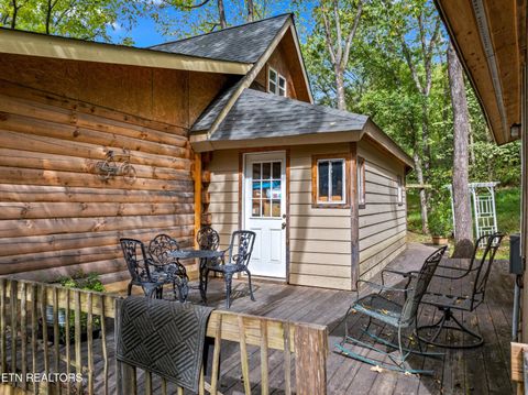 Tiny photo for 557 High Country Rd, Cosby, TN 37722 (MLS # 1317318)