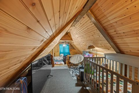 Tiny photo for 557 High Country Rd, Cosby, TN 37722 (MLS # 1317318)
