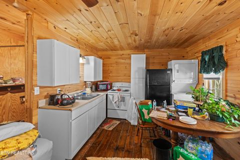 Tiny photo for 557 High Country Rd, Cosby, TN 37722 (MLS # 1317318)