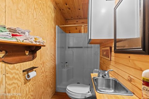 Tiny photo for 557 High Country Rd, Cosby, TN 37722 (MLS # 1317318)