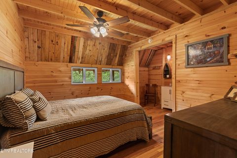 Tiny photo for 557 High Country Rd, Cosby, TN 37722 (MLS # 1317318)