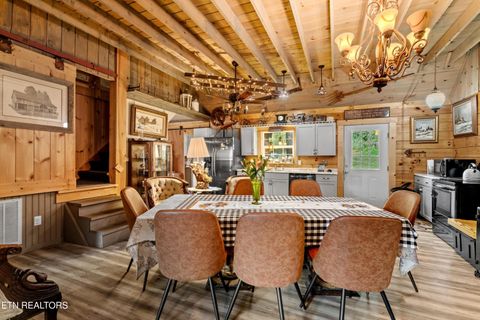Tiny photo for 557 High Country Rd, Cosby, TN 37722 (MLS # 1317318)