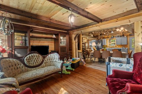 Tiny photo for 557 High Country Rd, Cosby, TN 37722 (MLS # 1317318)
