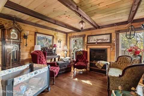 Tiny photo for 557 High Country Rd, Cosby, TN 37722 (MLS # 1317318)