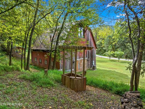 Tiny photo for 557 High Country Rd, Cosby, TN 37722 (MLS # 1317318)