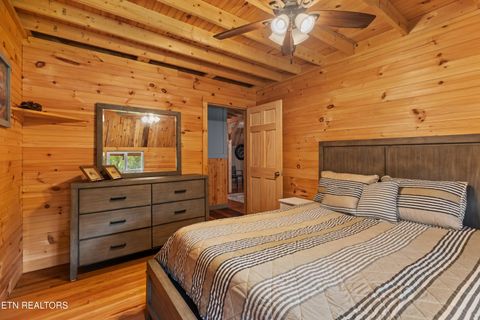 Tiny photo for 557 High Country Rd, Cosby, TN 37722 (MLS # 1317318)