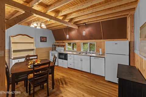 Tiny photo for 557 High Country Rd, Cosby, TN 37722 (MLS # 1317318)