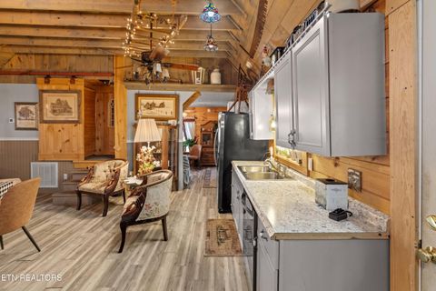 Tiny photo for 557 High Country Rd, Cosby, TN 37722 (MLS # 1317318)