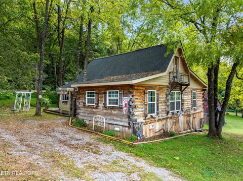Tiny photo for 557 High Country Rd, Cosby, TN 37722 (MLS # 1317318)