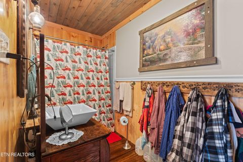 Tiny photo for 557 High Country Rd, Cosby, TN 37722 (MLS # 1317318)