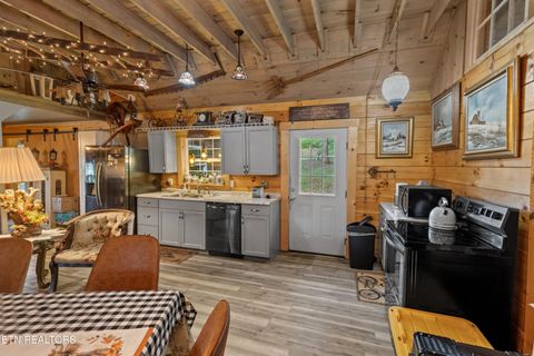 Tiny photo for 557 High Country Rd, Cosby, TN 37722 (MLS # 1317318)