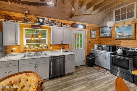 Tiny photo for 557 High Country Rd, Cosby, TN 37722 (MLS # 1317318)