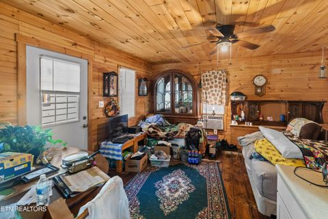 Tiny photo for 557 High Country Rd, Cosby, TN 37722 (MLS # 1317318)