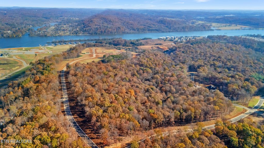 Photo of 2908 Old Dogwood Tr, Loudon, TN 37774 (MLS # 1321911)