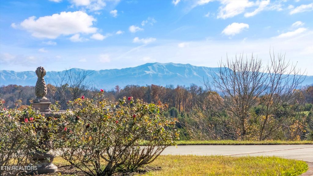 Photo of 3050 Sims Rd, Sevierville, TN 37876 (MLS # 1289650)