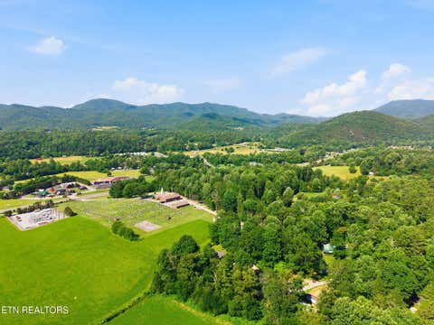 Tiny photo for 210 Bethel Church Rd, Townsend, TN 37882 (MLS # 1344790)