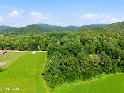 Tiny photo for 210 Bethel Church Rd, Townsend, TN 37882 (MLS # 1344790)